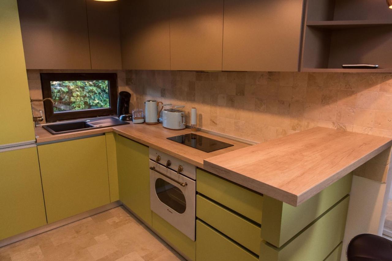 Kopel Haus - Studio - Self Acces Cod Location Balotesti Zewnętrze zdjęcie