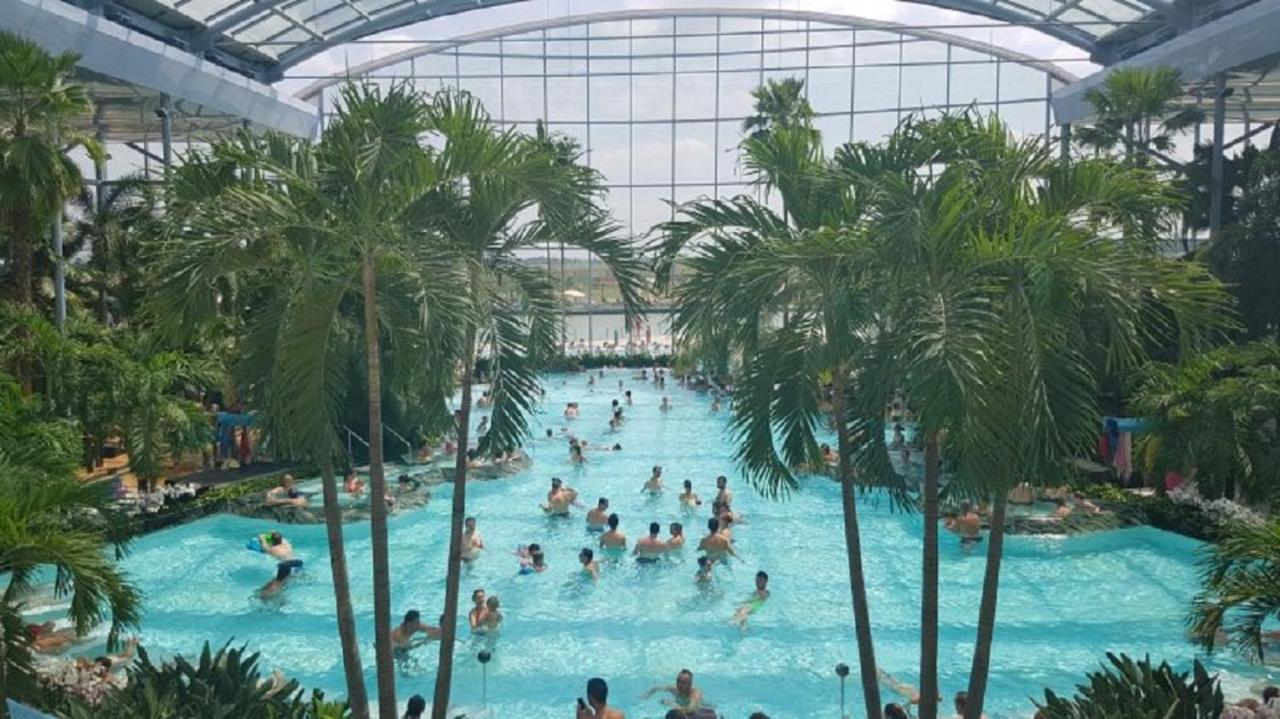 Kopel Haus - Studio - Self Acces Cod Location Balotesti Zewnętrze zdjęcie