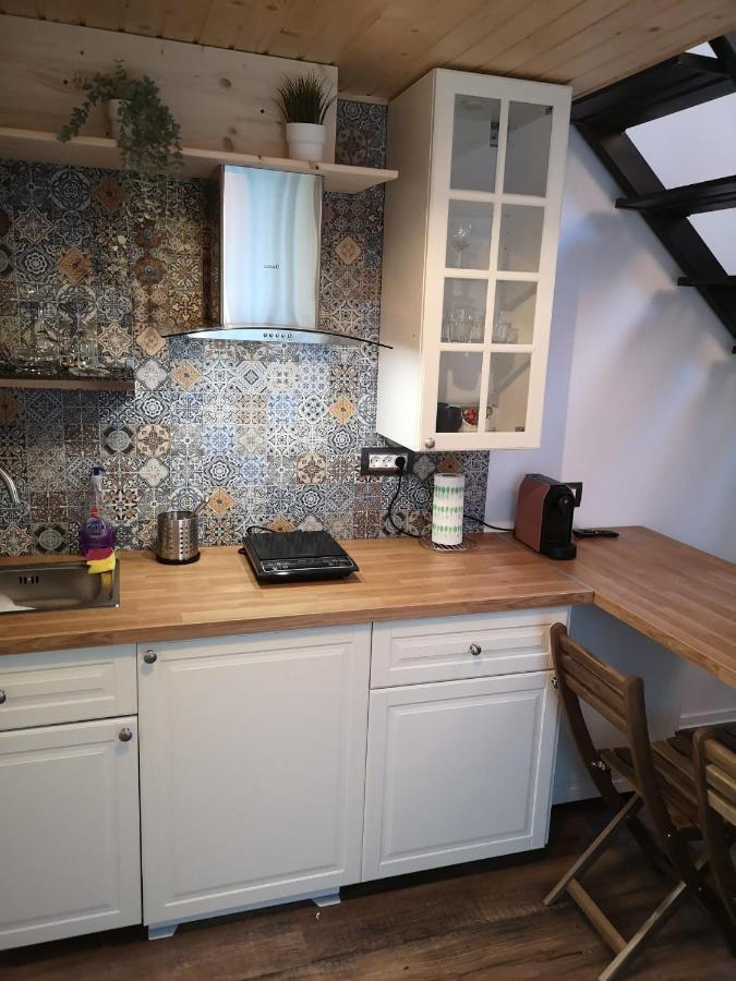 Kopel Haus - Studio - Self Acces Cod Location Balotesti Zewnętrze zdjęcie