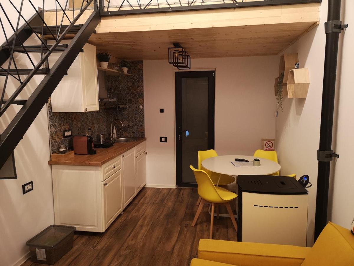Kopel Haus - Studio - Self Acces Cod Location Balotesti Zewnętrze zdjęcie