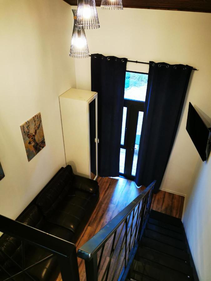 Kopel Haus - Studio - Self Acces Cod Location Balotesti Zewnętrze zdjęcie